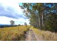 Bellthorpe QLD 4514