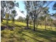 403 Villeneuve Rd, Jimna QLD 4515