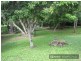 Kilcoy QLD 4515