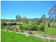 772 Sandy Creek Road, Sandy Creek QLD 4515