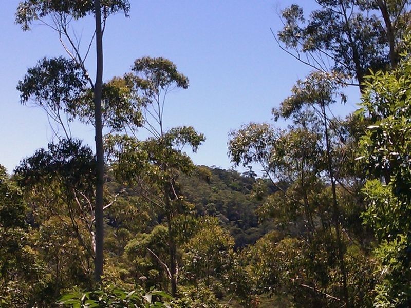 Bellthorpe QLD 4514