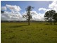 Stanmore QLD 4514