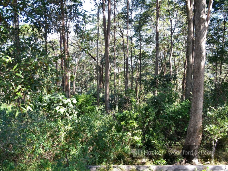 Mount Pleasant QLD 4521