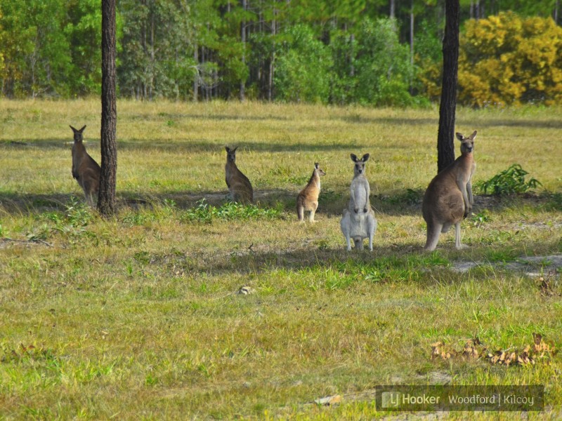 Lot 26/26-44 Montanus Drive, Woodford QLD 4514