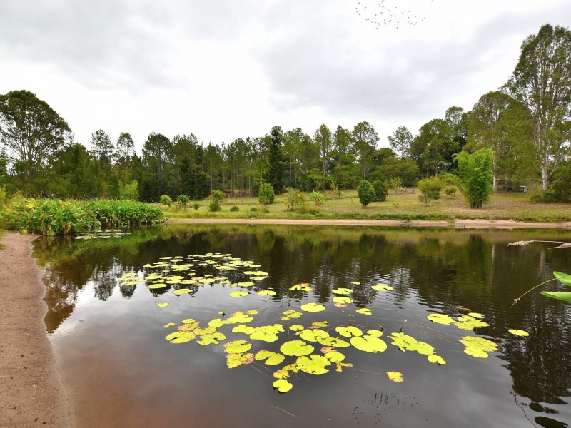 41 Scrubby Creek Road, Royston QLD 4515