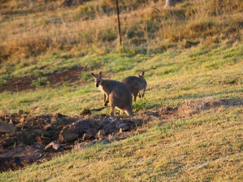 Hazeldean QLD 4515