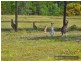Lot 27/26-44 Montanus Drive, Woodford QLD 4514