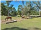 659 Kilcoy-Beerwah road, Stanmore QLD 4514