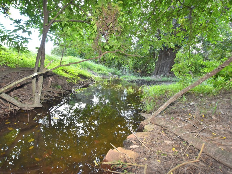 Lot 314 Sandy Creek Road, Sandy Creek QLD 4515