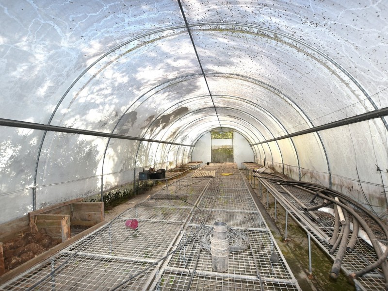 60 Mary Smokes Creek Road, Royston QLD 4515