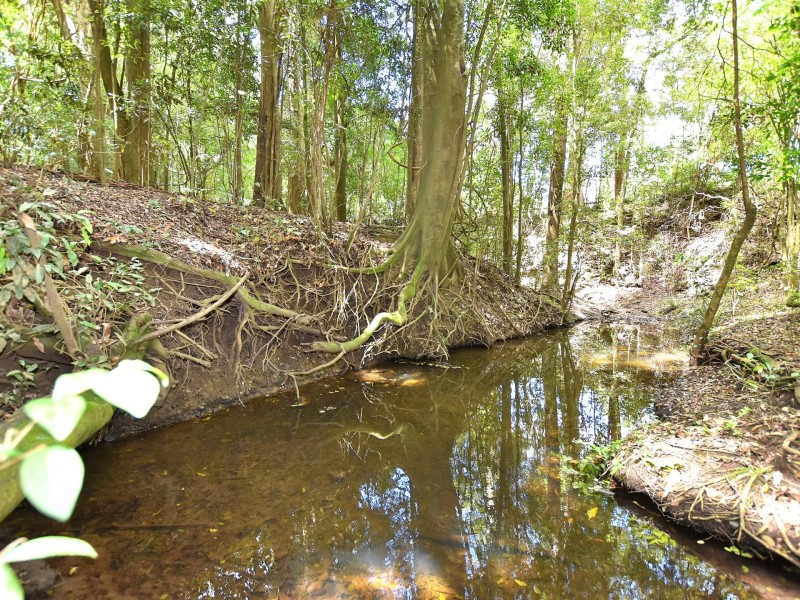 55 Commissioners Flat Road, Cedarton QLD 4514