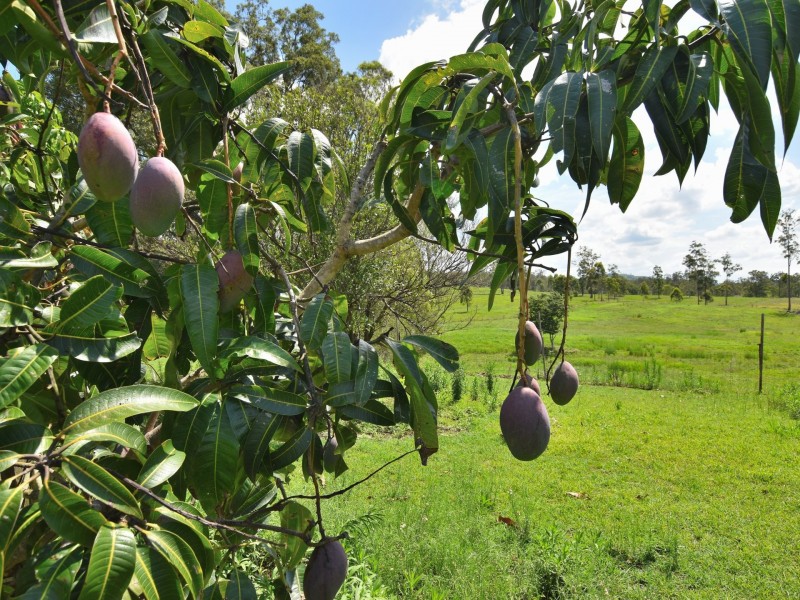 240 McLeod Lane, Delaneys Creek QLD 4514