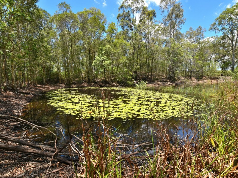 D’aguilar QLD 4514