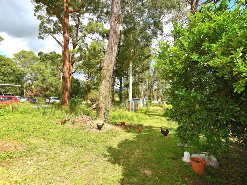 62 Archer Street, Woodford QLD 4514