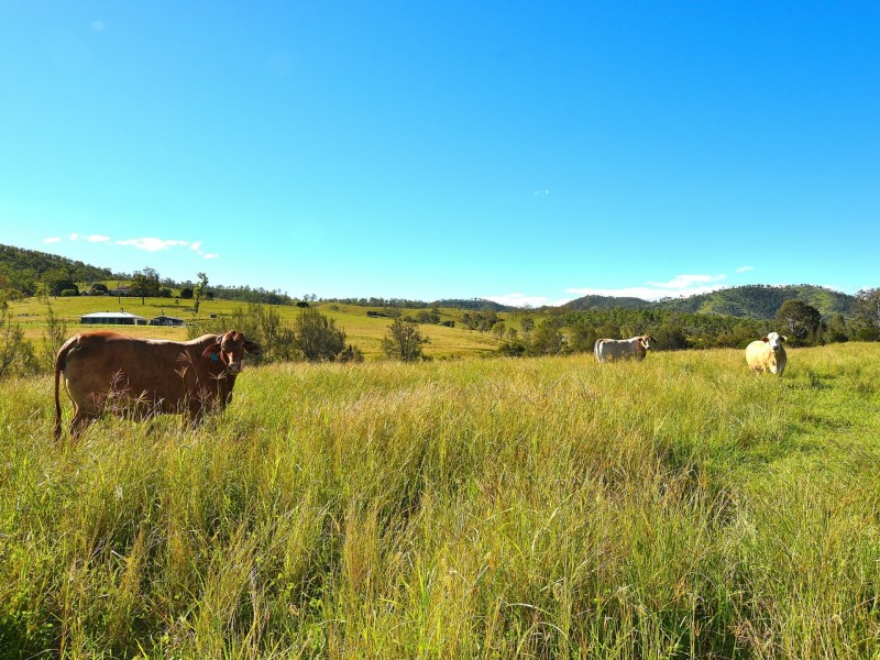 495 Spring Creek Road, Harlin QLD 4306