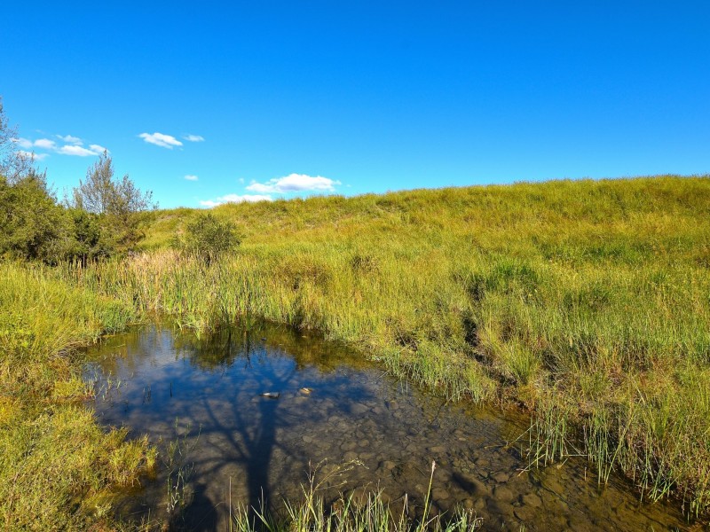 495 Spring Creek Road, Harlin QLD 4306