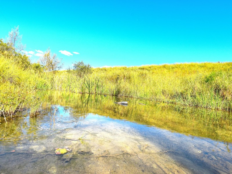 495 Spring Creek Road, Harlin QLD 4306