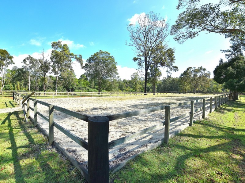 31 Mimosa Street, Woodford QLD 4514