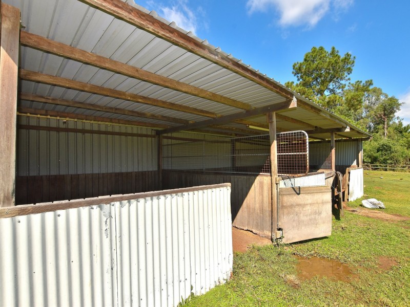 31 Mimosa Street, Woodford QLD 4514