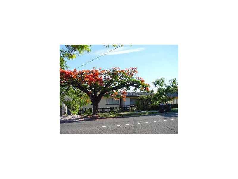 1/17 Ernest Street, Manly QLD 4179