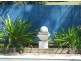 151 Carlton Terrace, Manly QLD 4179