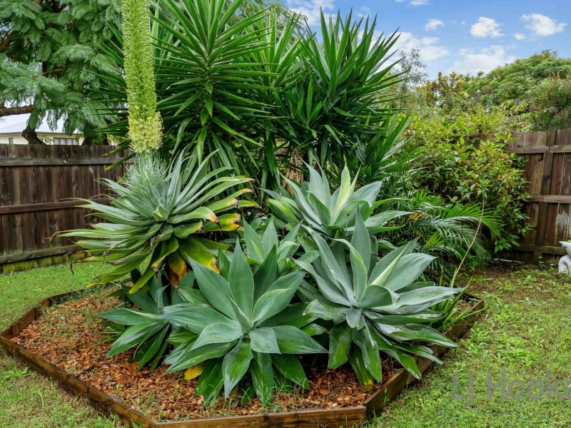 20 Goswell Street, Manly West QLD 4179