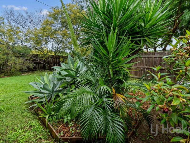20 Goswell Street, Manly West QLD 4179