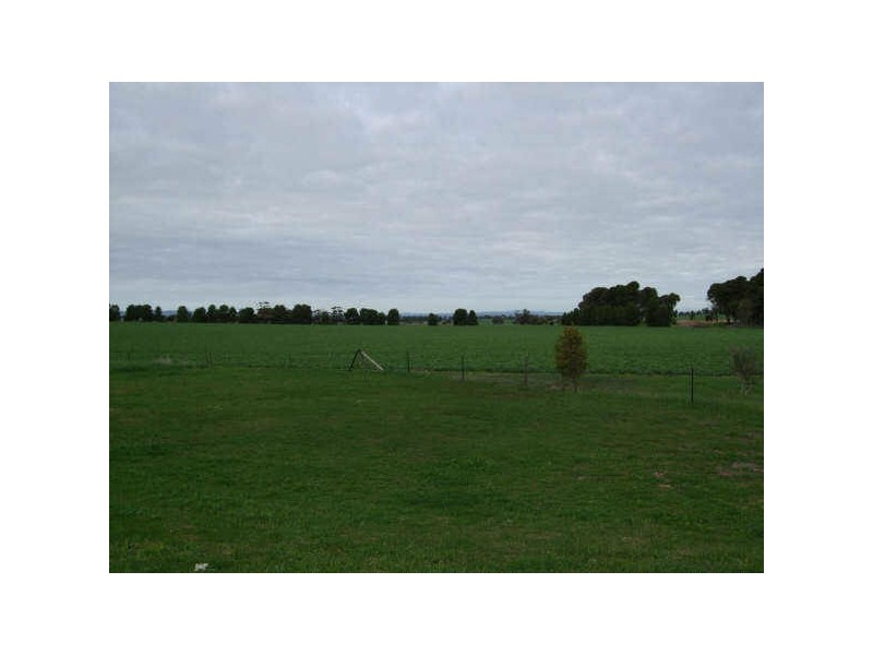 51 Hanson Street, Freeling SA 5372