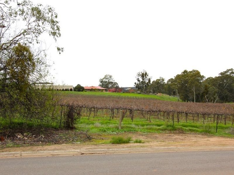 56 Wild Street, Williamstown SA 5351