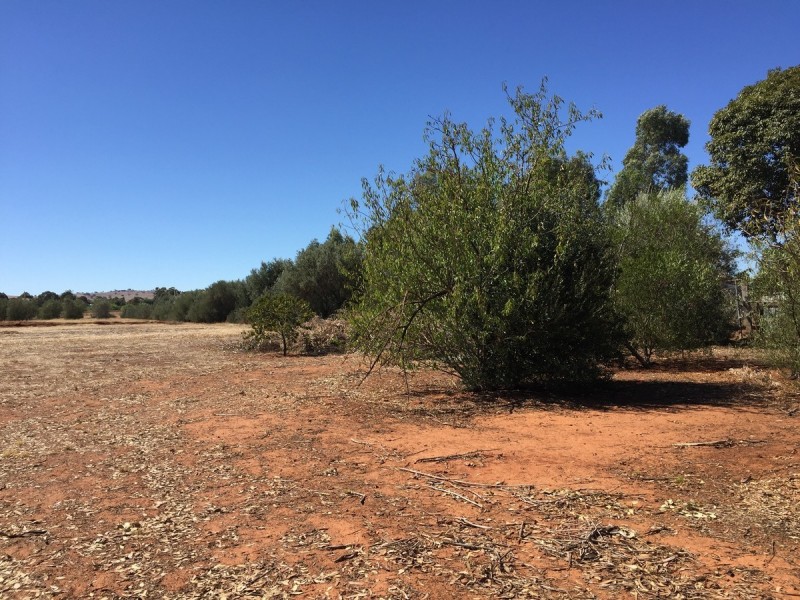 Lot 58/ Panes Road, Kudla SA 5115