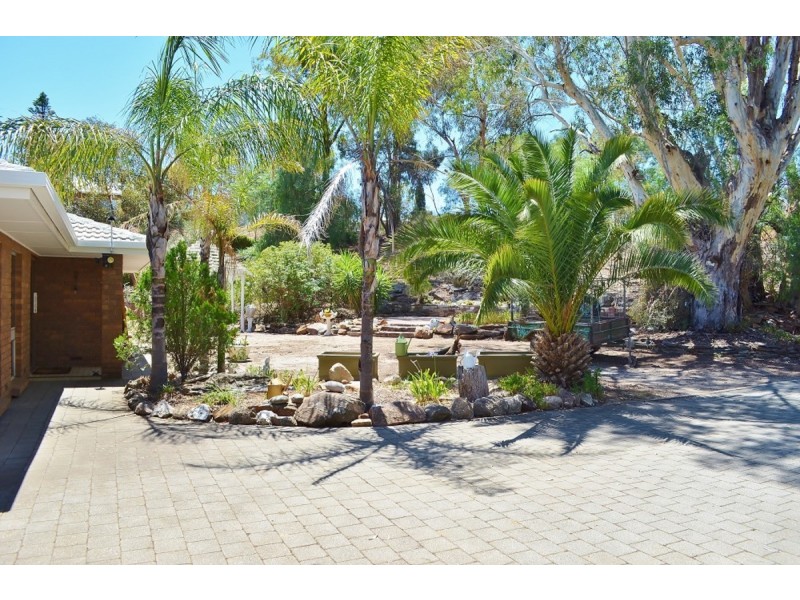 9 Burrows Street, Willaston SA 5118