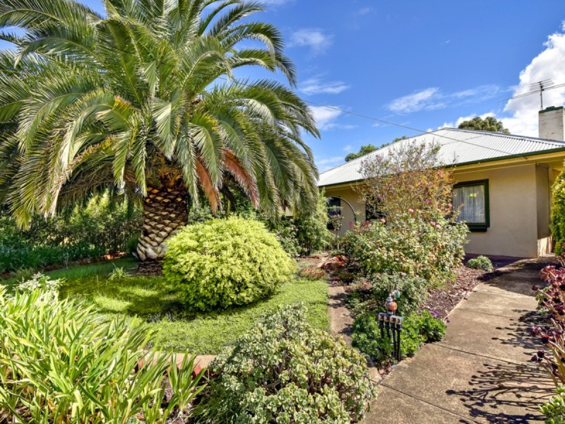 8 Ryde Street, Gawler West SA 5118