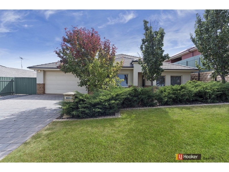 11 Selway Place, Evanston Park SA 5116