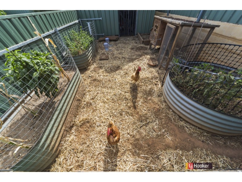 11 Selway Place, Evanston Park SA 5116