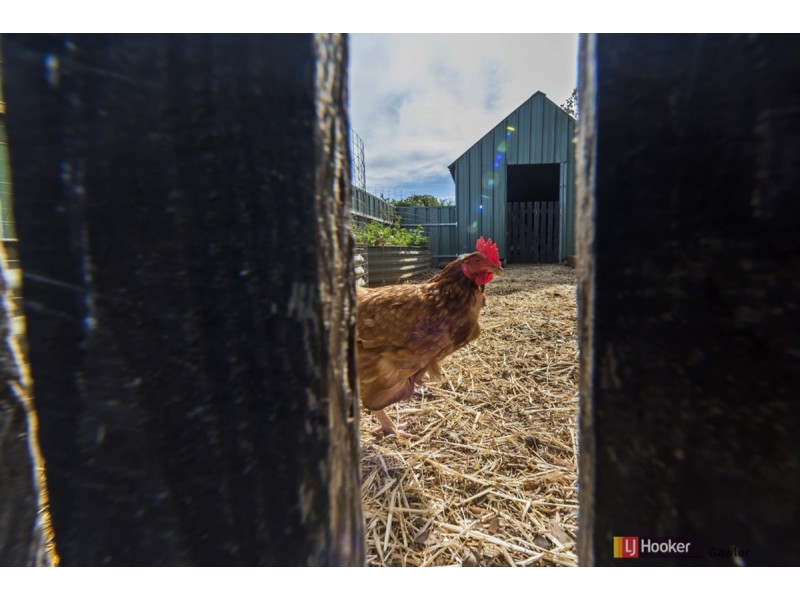 11 Selway Place, Evanston Park SA 5116