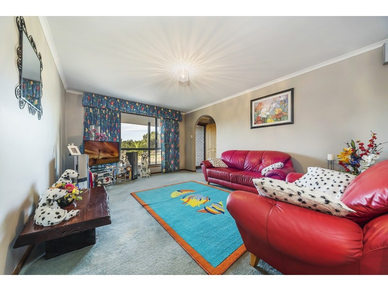 11 Frederick Street, Lyndoch SA 5351