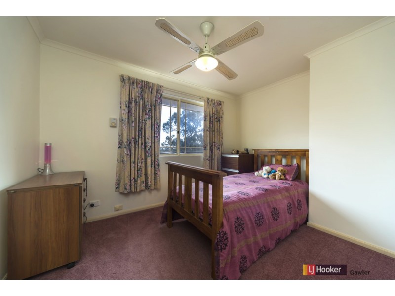 354 Alexander Avenue, Bibaringa SA 5118