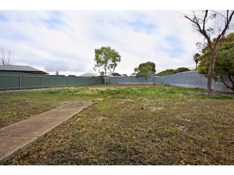 51 Hanson Street, Freeling SA 5372