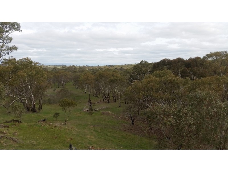 Section 53 Murray Road, Keyneton SA 5353