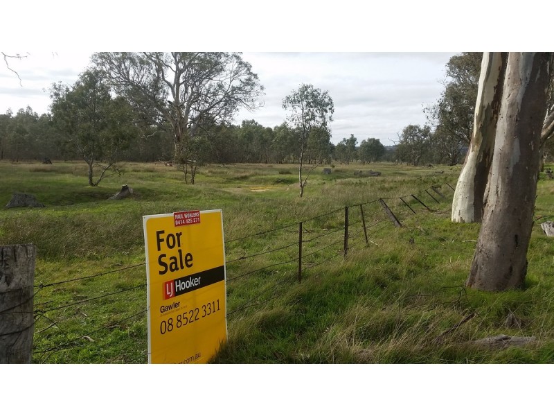 Section 53 Murray Road, Keyneton SA 5353