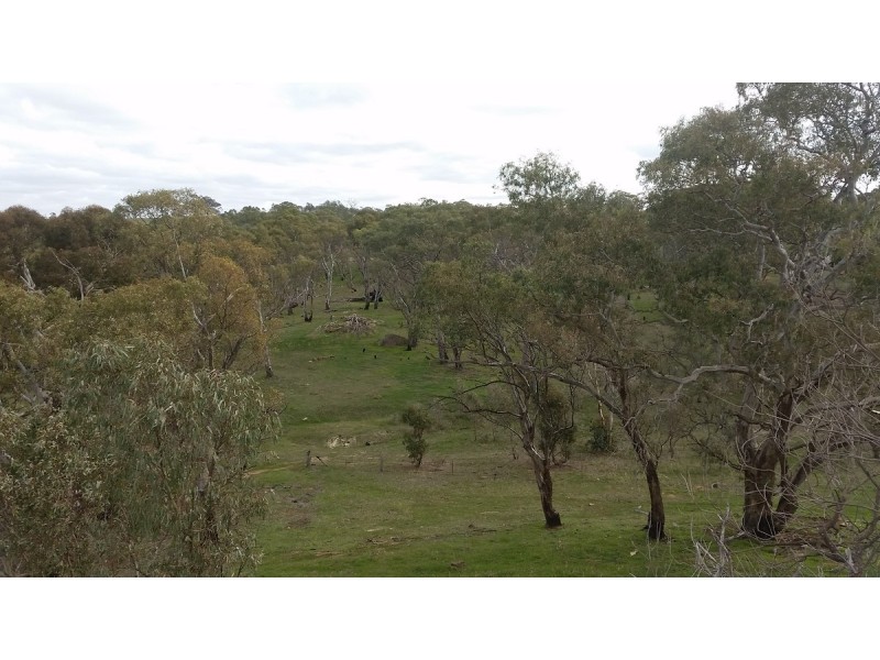 Section 53 Murray Road, Keyneton SA 5353