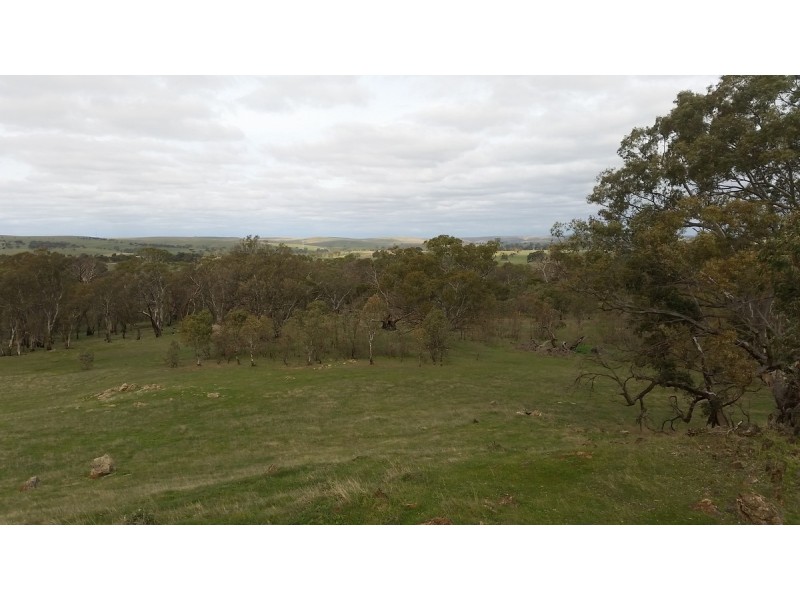 Section 53 Murray Road, Keyneton SA 5353
