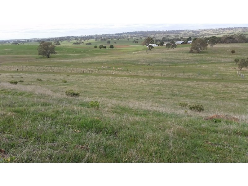 Section 53 Murray Road, Keyneton SA 5353