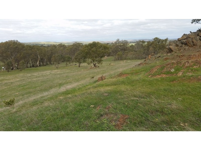 Section 53 Murray Road, Keyneton SA 5353