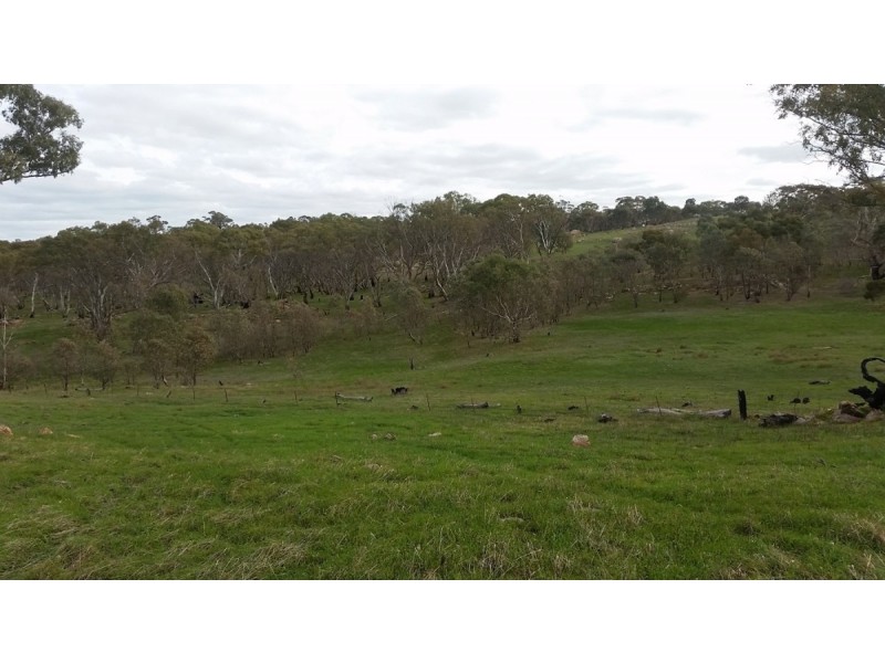 Section 53 Murray Road, Keyneton SA 5353