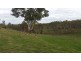 Section 53 Murray Road, Keyneton SA 5353