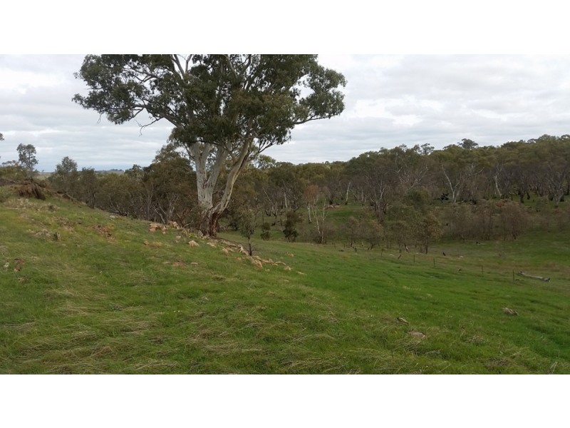 Section 53 Murray Road, Keyneton SA 5353