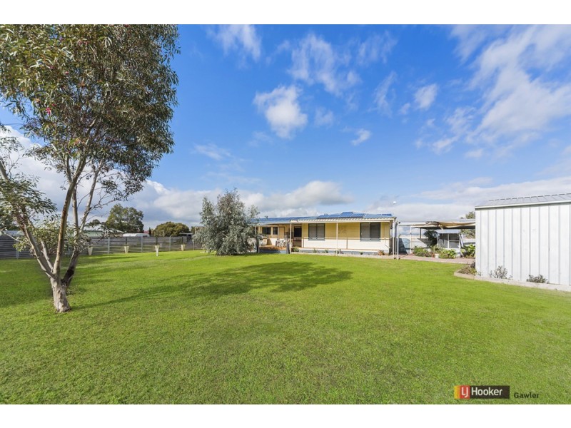 7 Sable Grove, Two Wells SA 5501