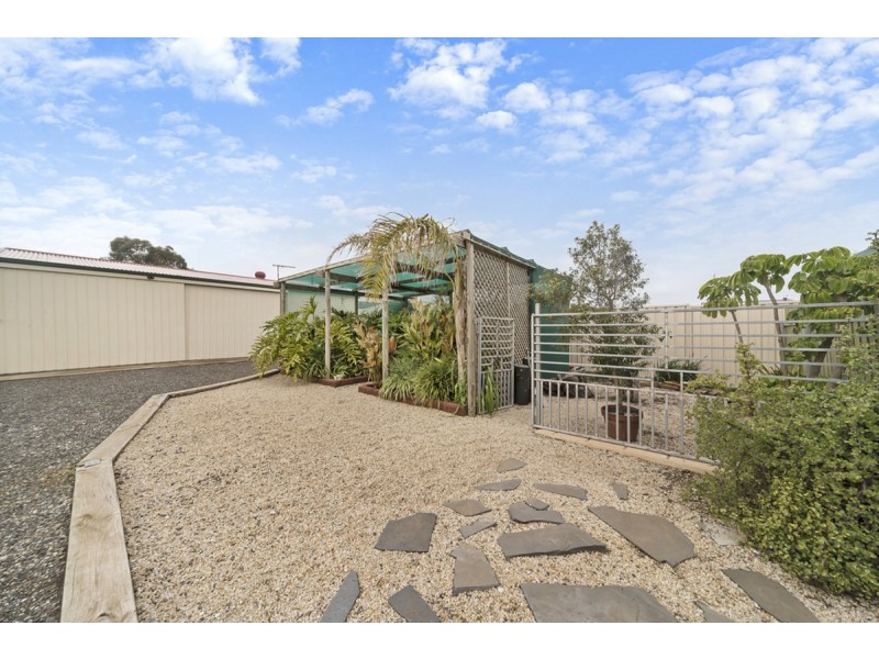 54 Hanson Street, Freeling SA 5372