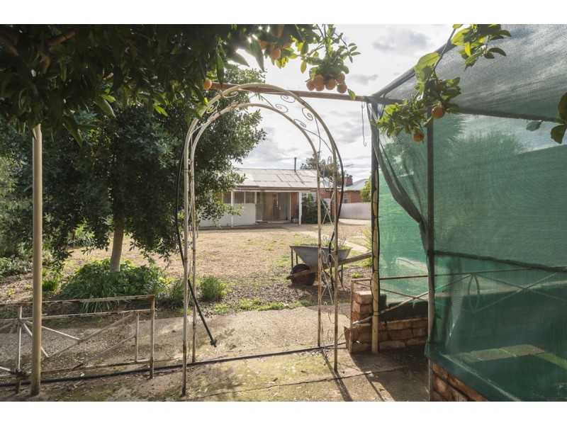 10 Lawrence Avenue, Gawler South SA 5118